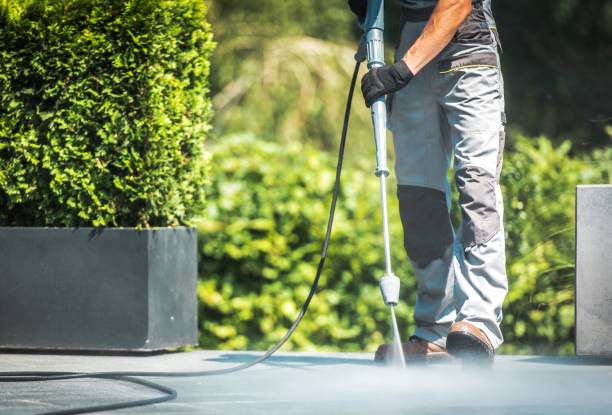Best Paint Preparation  in Palmetto Estates, FL