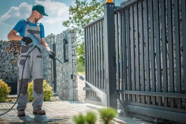 Best Graffiti Removal  in Palmetto Estates, FL